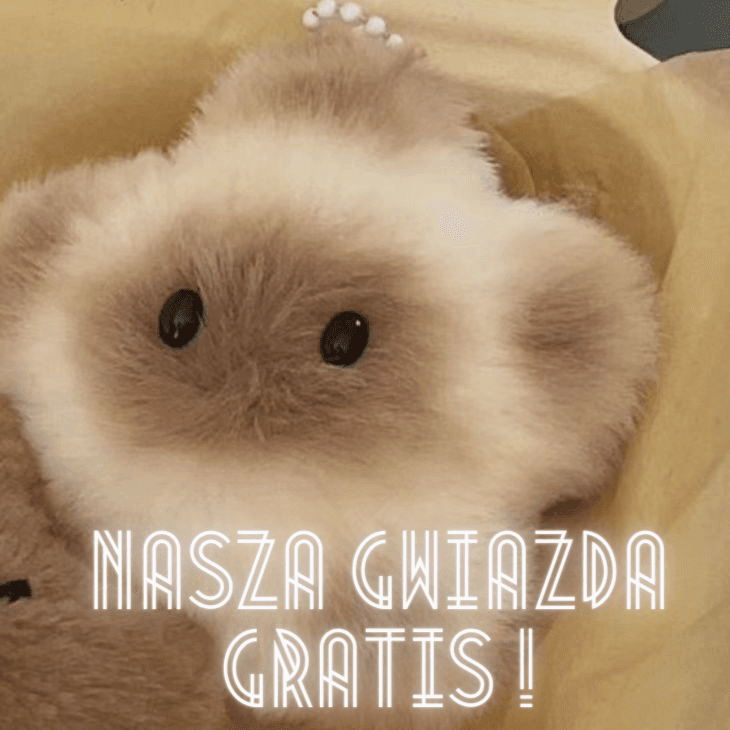 Mój przyjaciel Kapibara