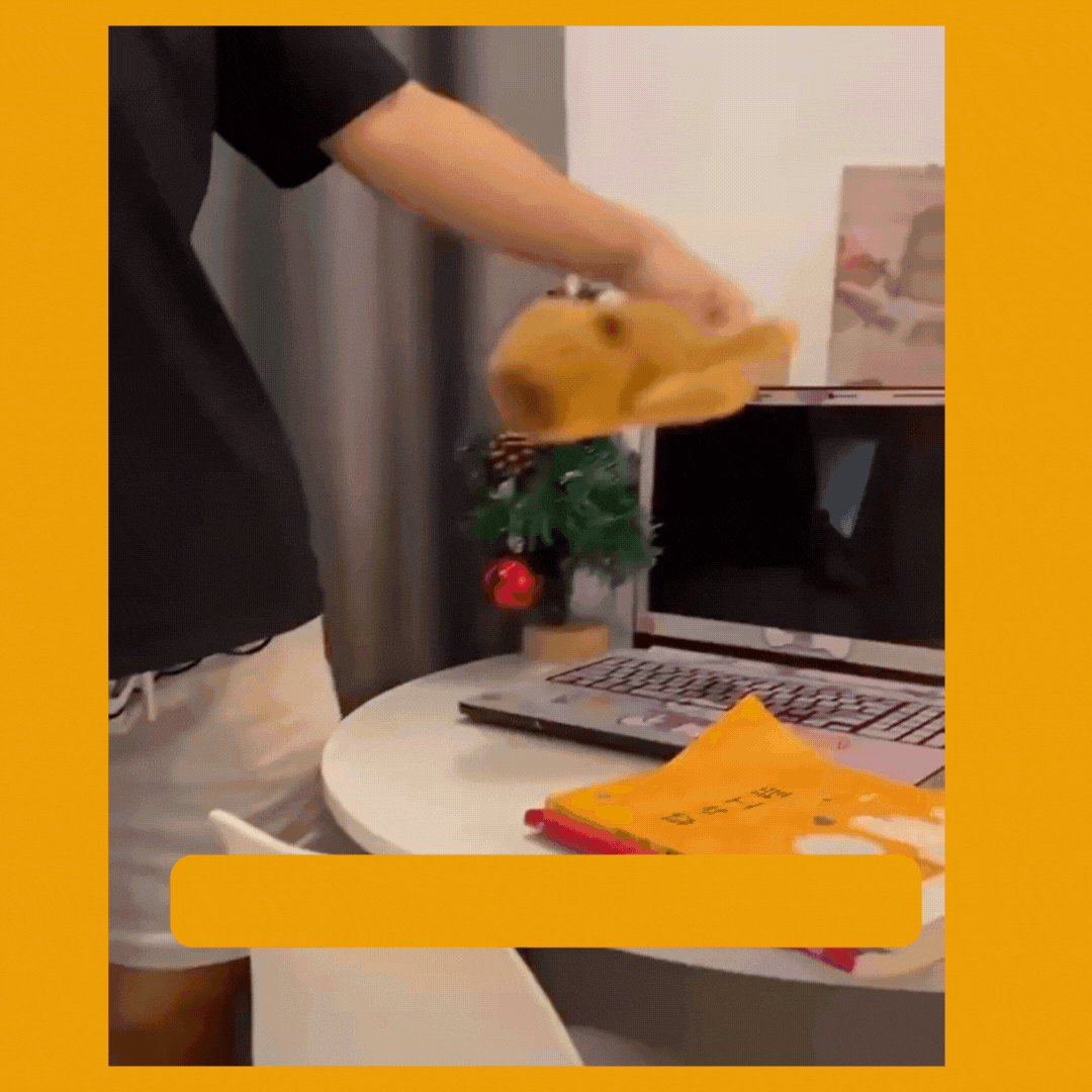 Mój przyjaciel Kapibara